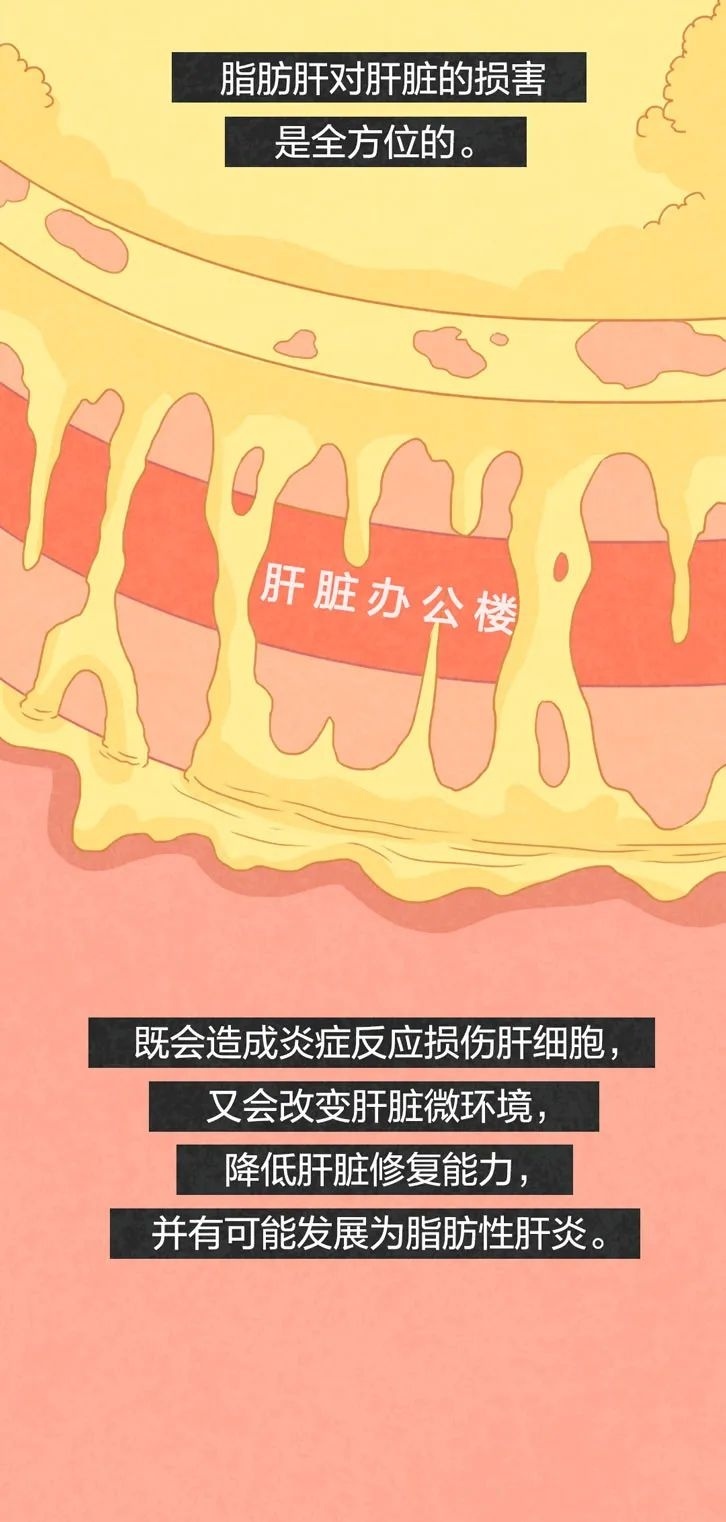 人体修复能力最强的器官，这样“死”于你无休止的虐待……