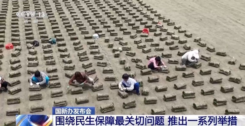 聚焦就业、教育等民生保障最关键问题 各部门推出一系列举措→