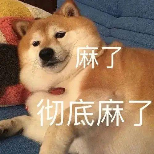 赢了赢了！队史首座总冠军！NBA正式新王当立