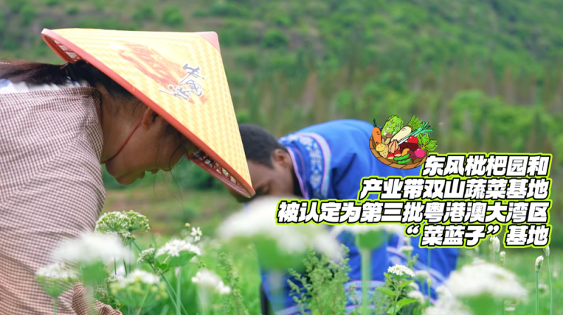 非洲小哥在楼纳村当“村民”丨老外村游记