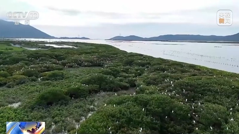 我国海洋能开发利用技术已迈入世界第一方阵