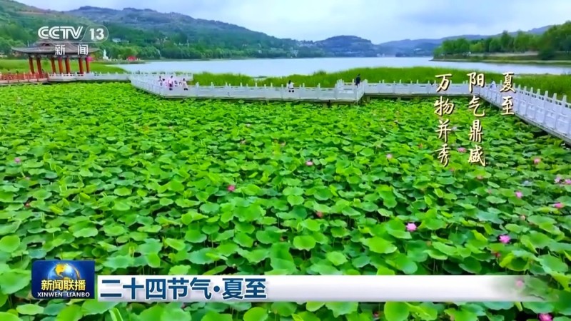 文化中国行丨二十四节气・夏至 阳气鼎盛万物并秀