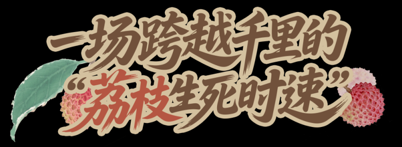 总台周末看点 | “荔”争上游！