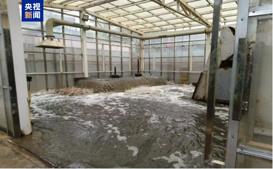 违规填埋、污水直排中央生态环境保护督察通报山西、宁夏典型案例