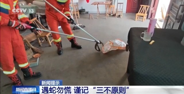 近日多地“蛇出没”  牢记这些防蛇方法，遇险不慌张