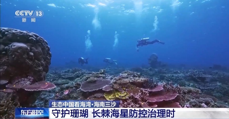 海湾“变美”关键在哪？看中国方案呵护一抹蔚蓝