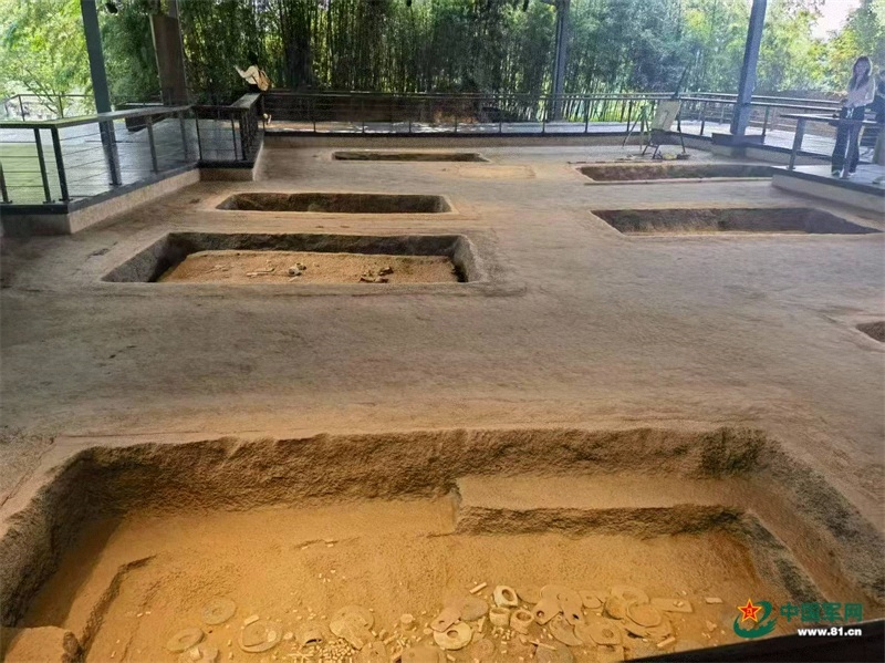 发展新动能在“浙”里强劲活跃