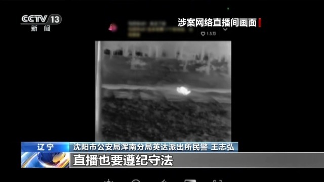 主播为“涨粉”直播猎鸟 黑色链条被警方打掉