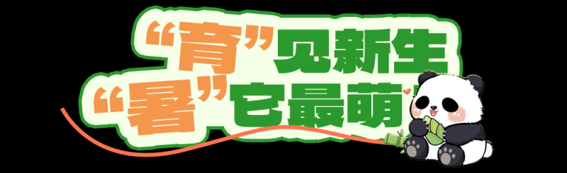总台周末看点丨夏至，宜_____