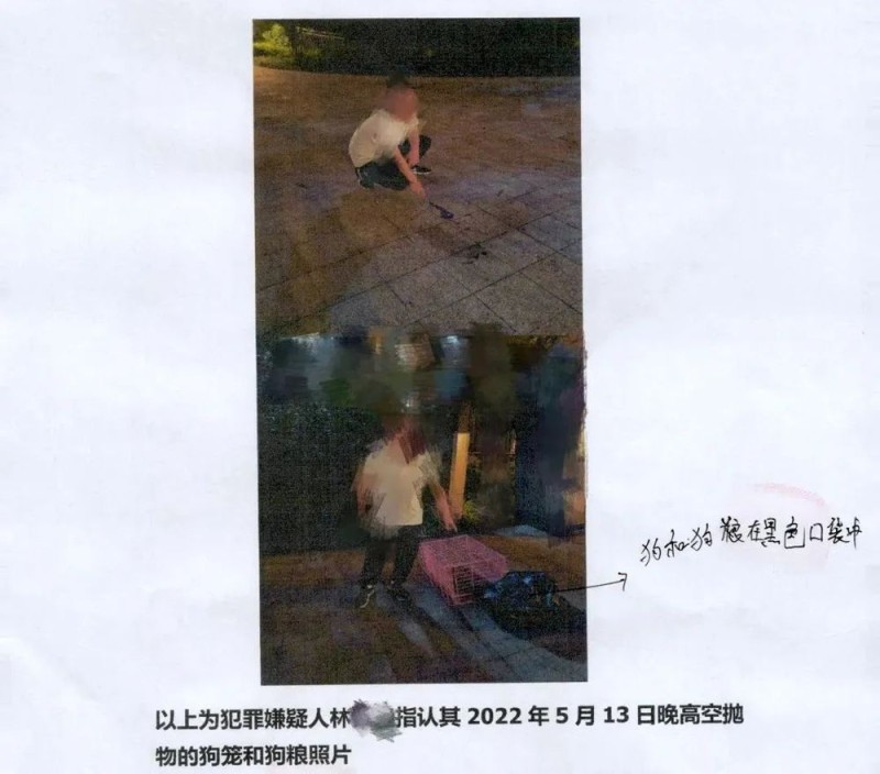 天降乌龟砸死孩童，饲主被判赔128万分期偿还