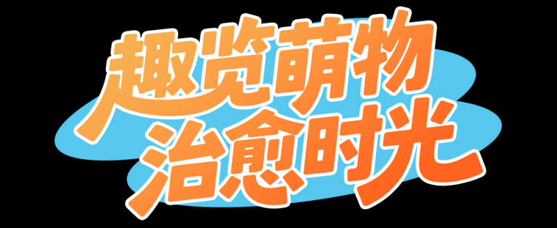 总台周末看点丨走，寻风去！