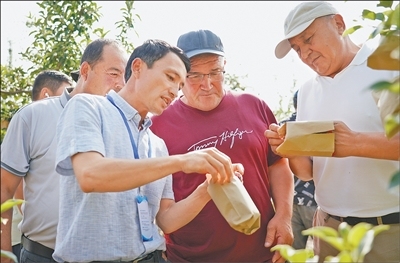 拓展农业合作 深化减贫交流（携手同行：中国中亚合作提质升级）