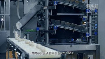 中国经济样本观察・一“业”成名丨面包“总动员”！“走”天下也“香”家乡