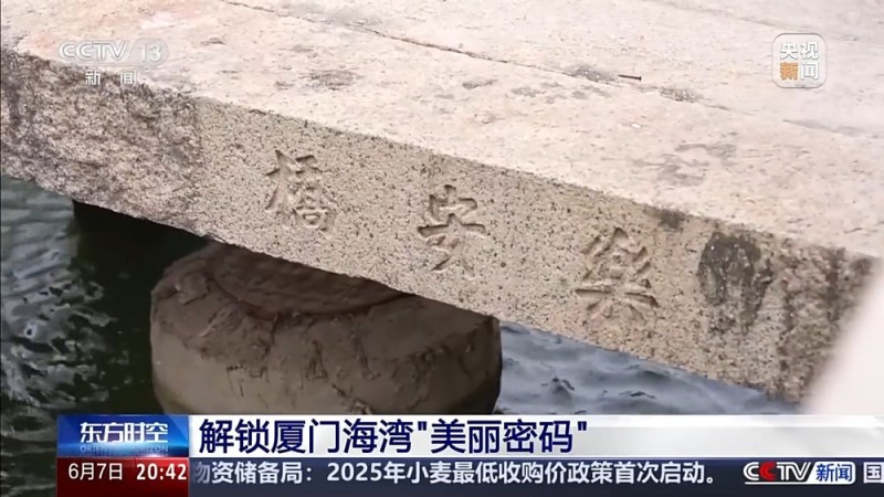 保护潮起潮落间的美丽！看，这是建设海湾的“硬核”实力