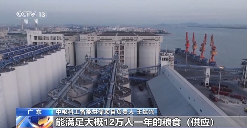 “绿色储粮”新方向 大国粮仓焕发“智能体”数字生命力
