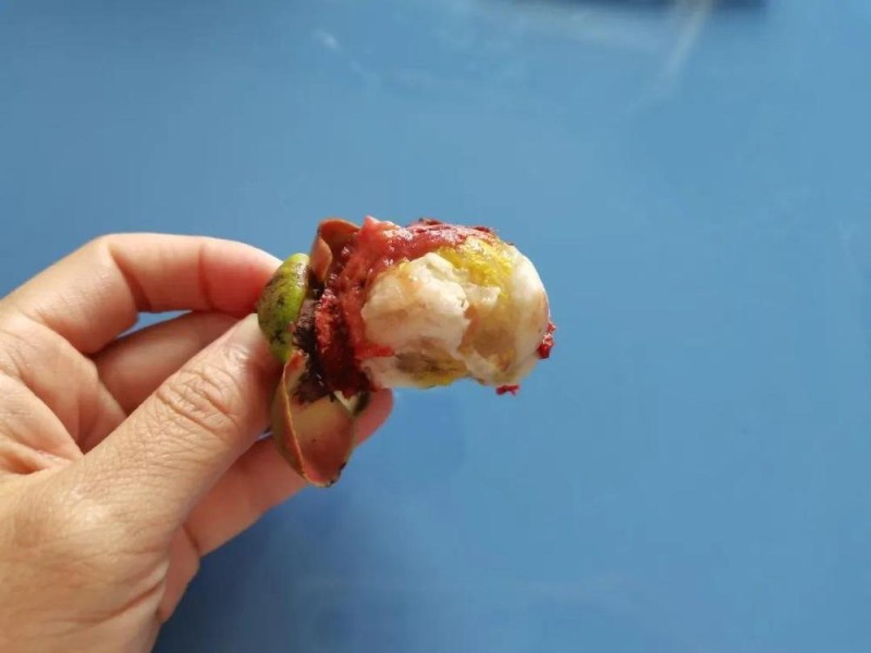 这种水果很贵 虽然好吃但营养价值一般 热量还很高……
