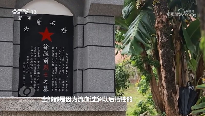 焦点访谈｜“天下无毒”背后 是他们以血肉之躯筑起了一道禁毒防线