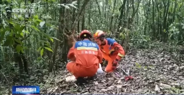 近日多地“蛇出没”  牢记这些防蛇方法，遇险不慌张