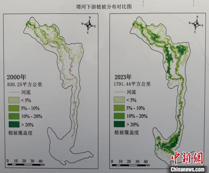 新疆若羌巧治流沙 台特玛湖焕然新生