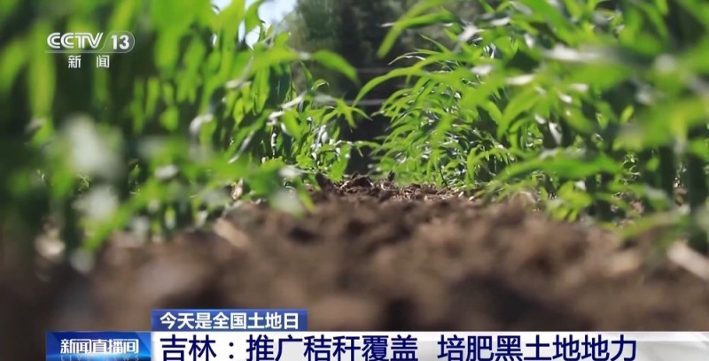 83个黑土地重点保护县完成地质“体检”查看结果→