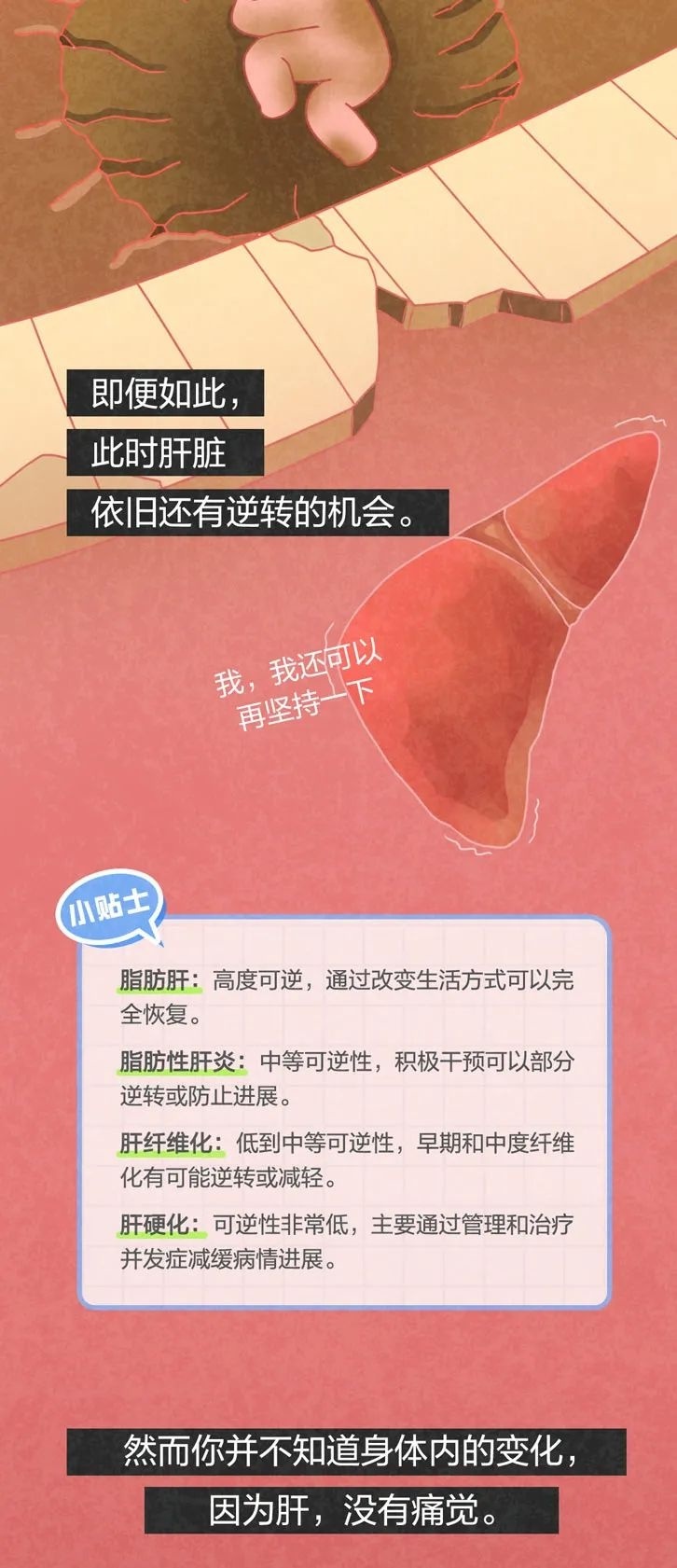 人体修复能力最强的器官，这样“死”于你无休止的虐待……