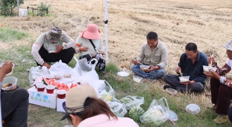 “三夏”生产一线观察｜抢收抢种不误时 农业生产高效推进
