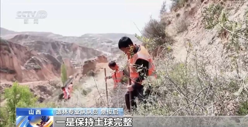 机械治沙造林比例接近50%！“三北”工程攻坚战取得新进展