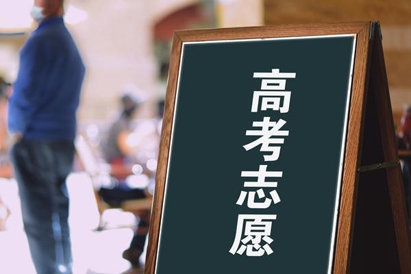 “神助攻”还是“大忽悠”，高考志愿填报用AI靠谱吗？
