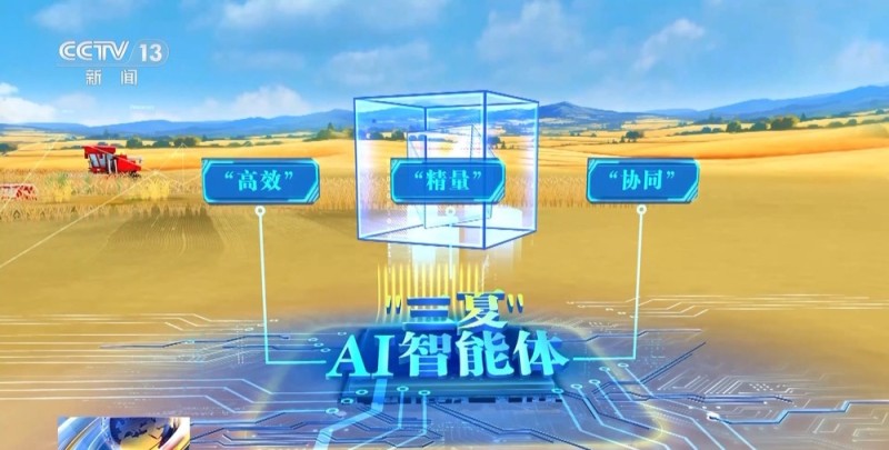 AI解锁丰收密码丨高效、精量、协同 三个关键词解码“三夏”里的科技范儿