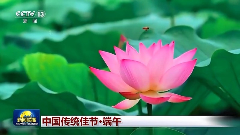 文化中国行丨浓浓家国情  一起传承端午习俗