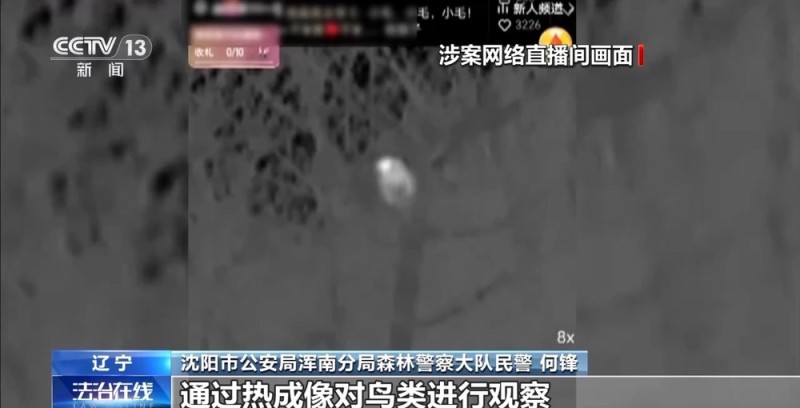 主播为“涨粉”直播猎鸟 黑色链条被警方打掉