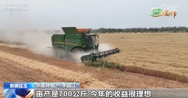 良种良机良法为夏粮丰收提供“硬支撑” 农业现代化图景有“智”更有“质”