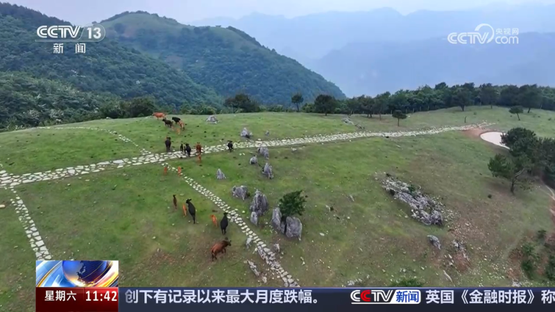 生态好了游客多了 多元消费新场景激发夏日经济新活力