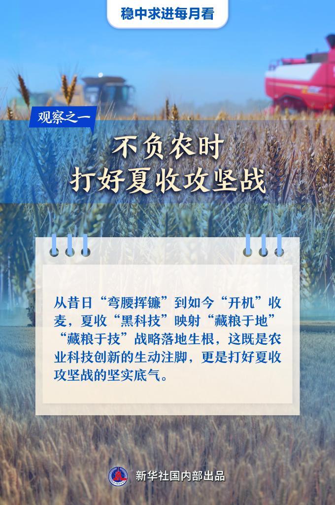 稳中求进每月看丨万物竞发绘新景――6月全国各地经济社会发展观察