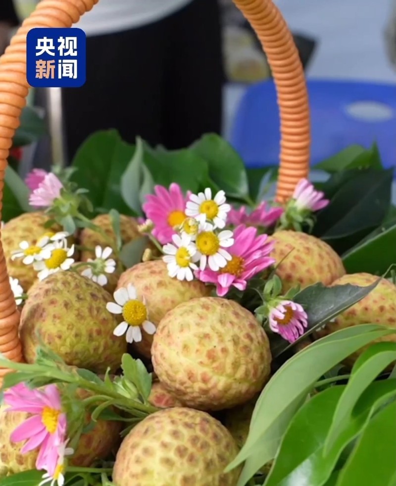 “粤”上新台阶丨水果千千万  广东人为何“独宠”荔枝？