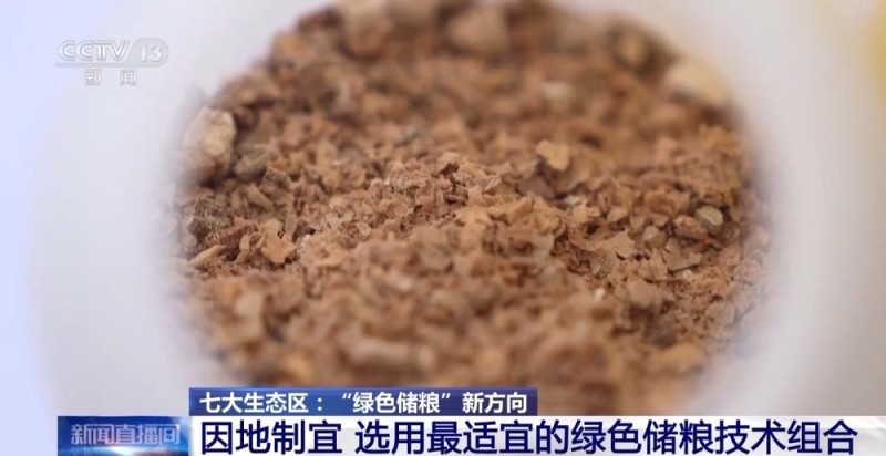 “绿色储粮”新方向 大国粮仓焕发“智能体”数字生命力