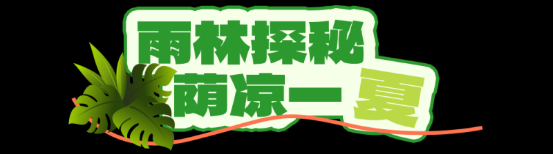 总台周末看点丨夏至，宜_____