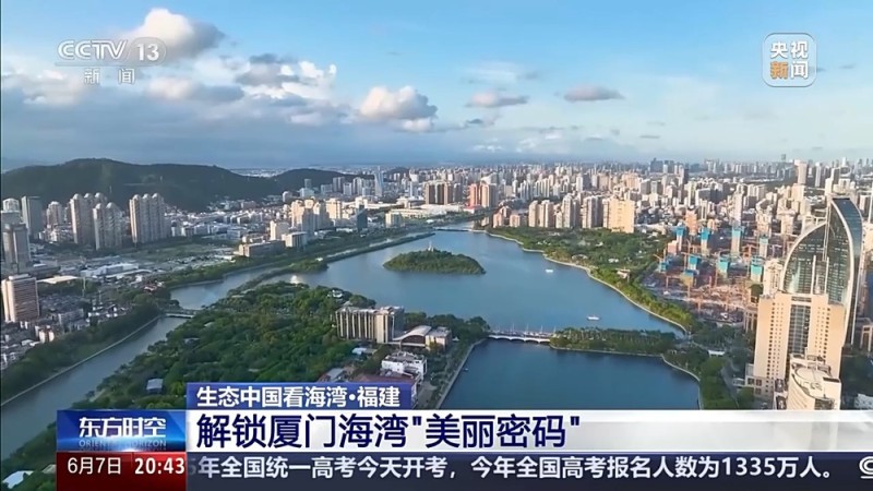 保护潮起潮落间的美丽！看，这是建设海湾的“硬核”实力