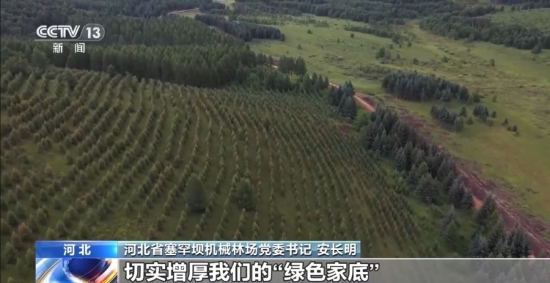 机械治沙造林比例接近50%！“三北”工程攻坚战取得新进展