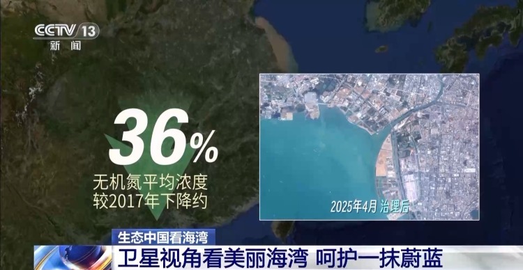 海湾“变美”关键在哪？看中国方案呵护一抹蔚蓝