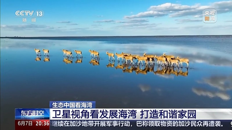 保护潮起潮落间的美丽！看，这是建设海湾的“硬核”实力