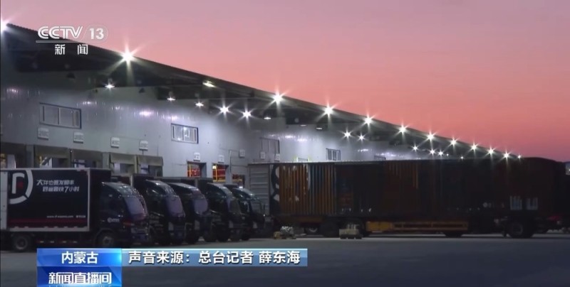 从岭南枝头到全球餐桌 广东荔枝解锁“四季鲜”密码→