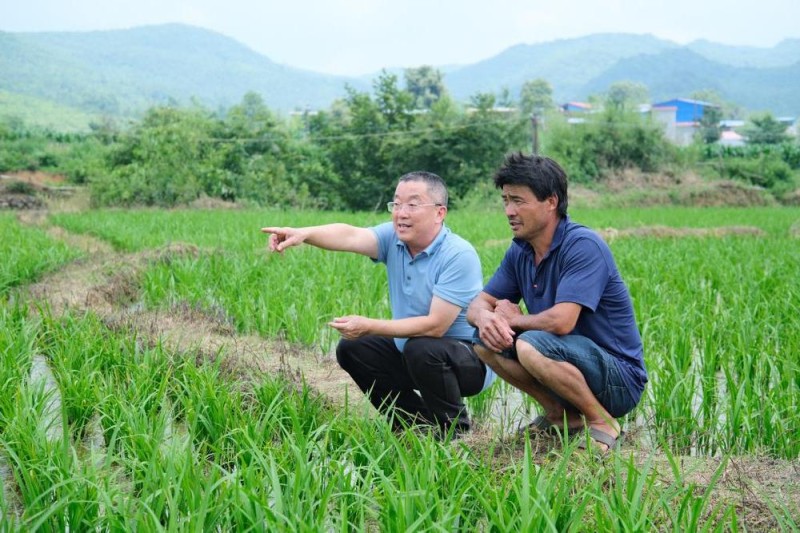 党旗在基层一线高高飘扬丨十年驻守米飘香――驻村第一书记莫日发的乡村印记