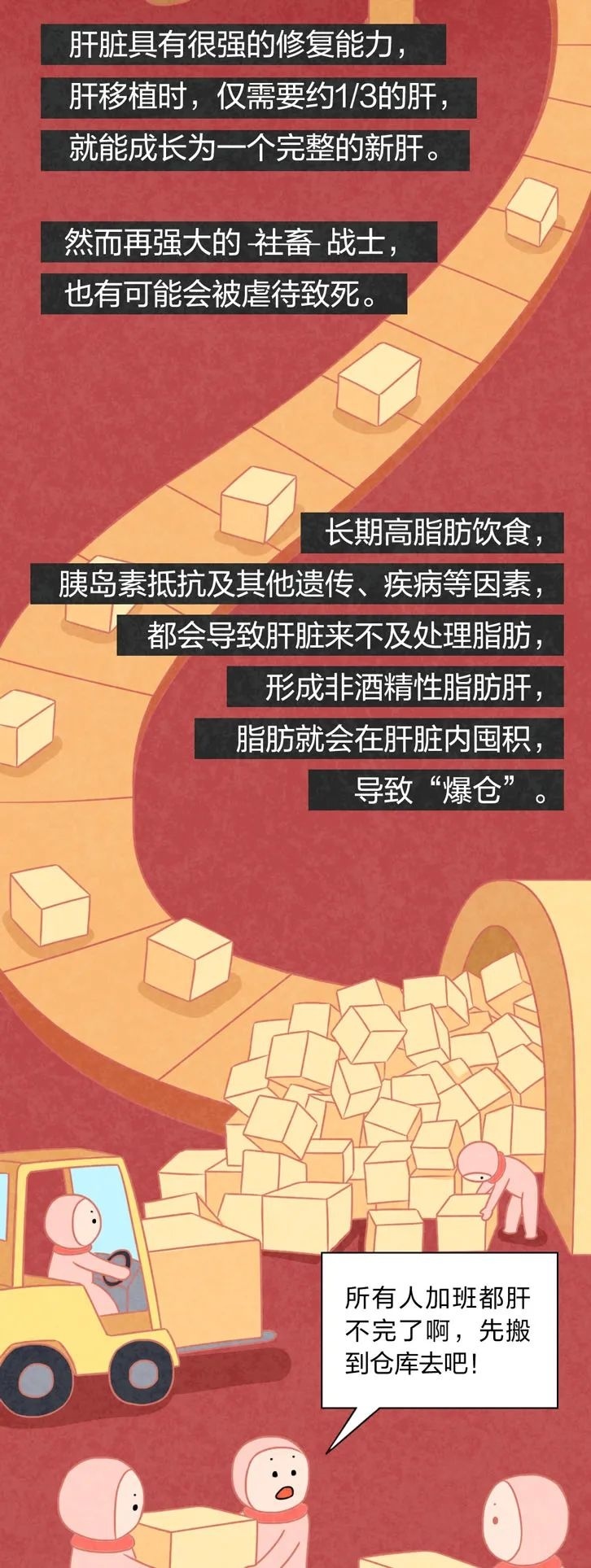 人体修复能力最强的器官，这样“死”于你无休止的虐待……