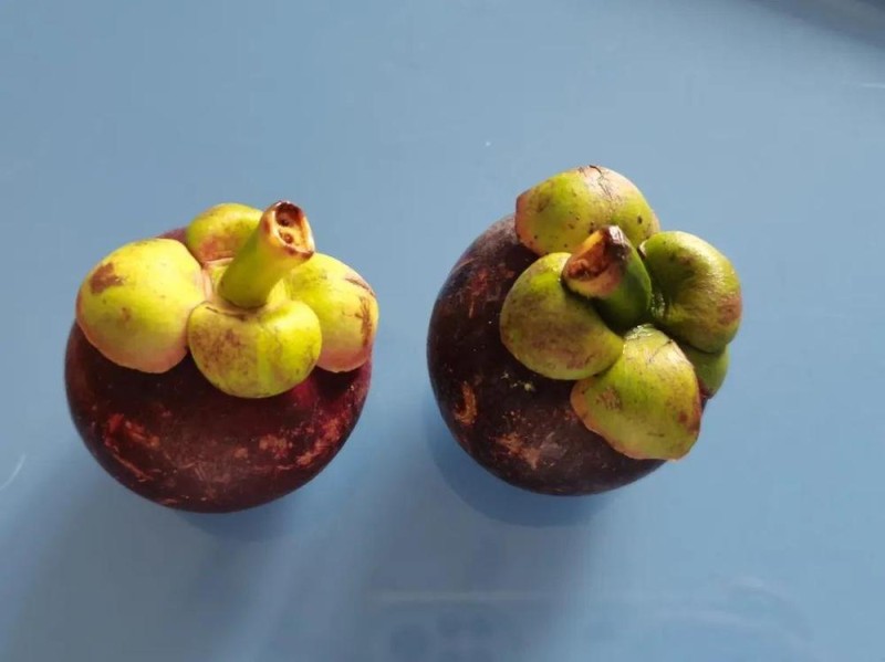 这种水果很贵 虽然好吃但营养价值一般 热量还很高……