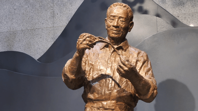从“授人以渔”到“共享丰收”――中非农业合作谱写发展新篇