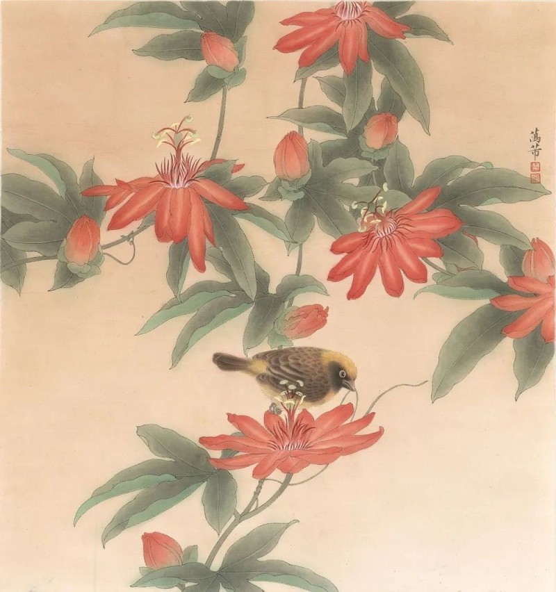 万芾“花鸟世界”中的二十四节气：芒种