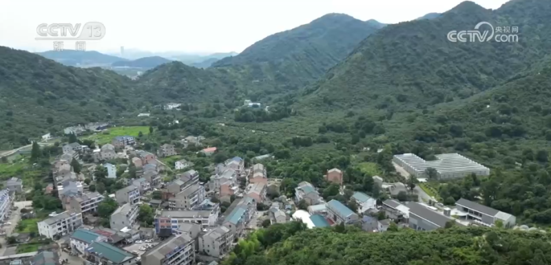 万物至盛 欣欣向荣 希望的田野上奏响丰收“欢歌”