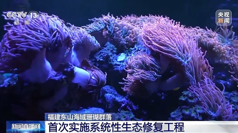 我国海洋能开发利用技术已迈入世界第一方阵