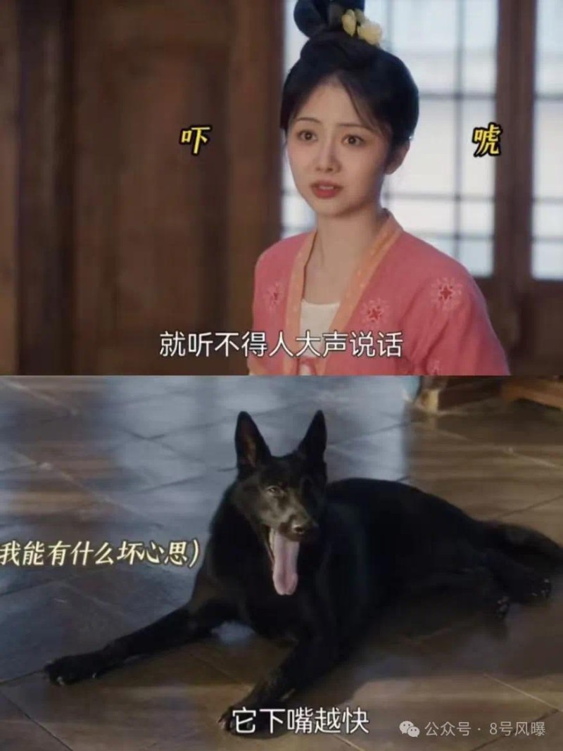 扶不起的90花？集体惨败的一年……